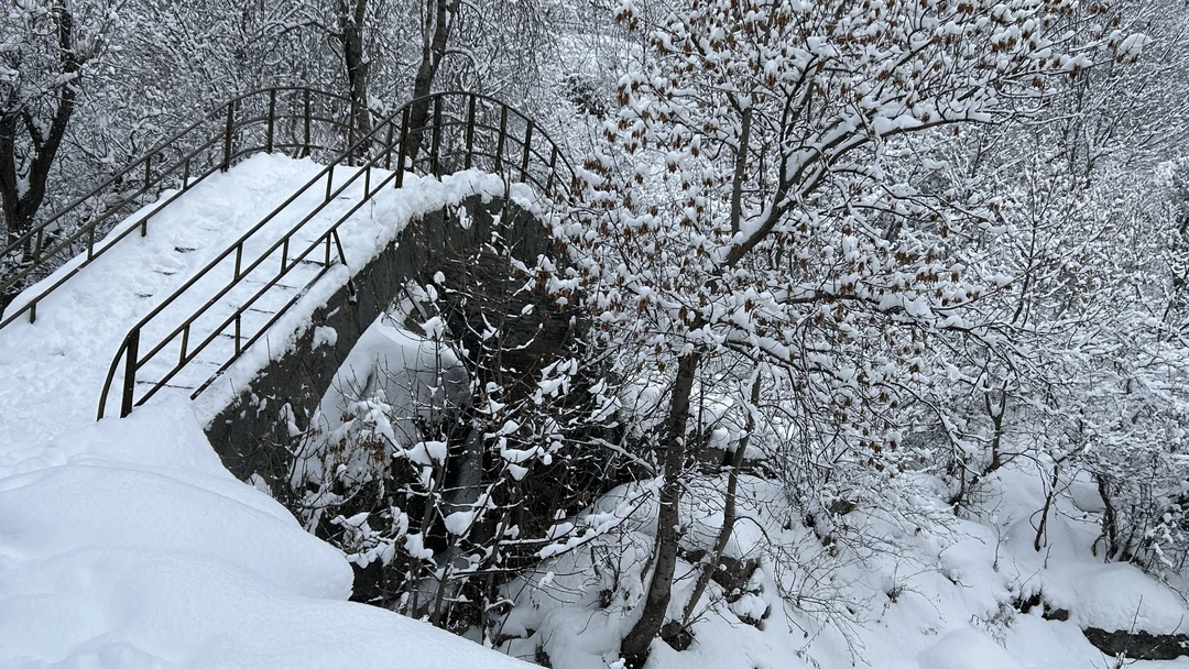 Все было замечательное. Спасибо Хайку и Левону за отлично-проведенный день