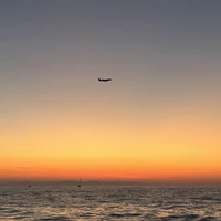 Фото отзыва 2: экскурсия "Морская прогулка «По следам дельфинов»"