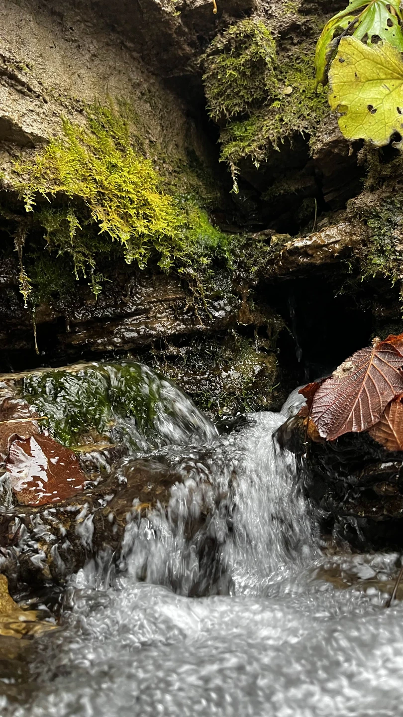 Автобусная экскурсия из Пскова в Изборск и Печоры (Зоя)