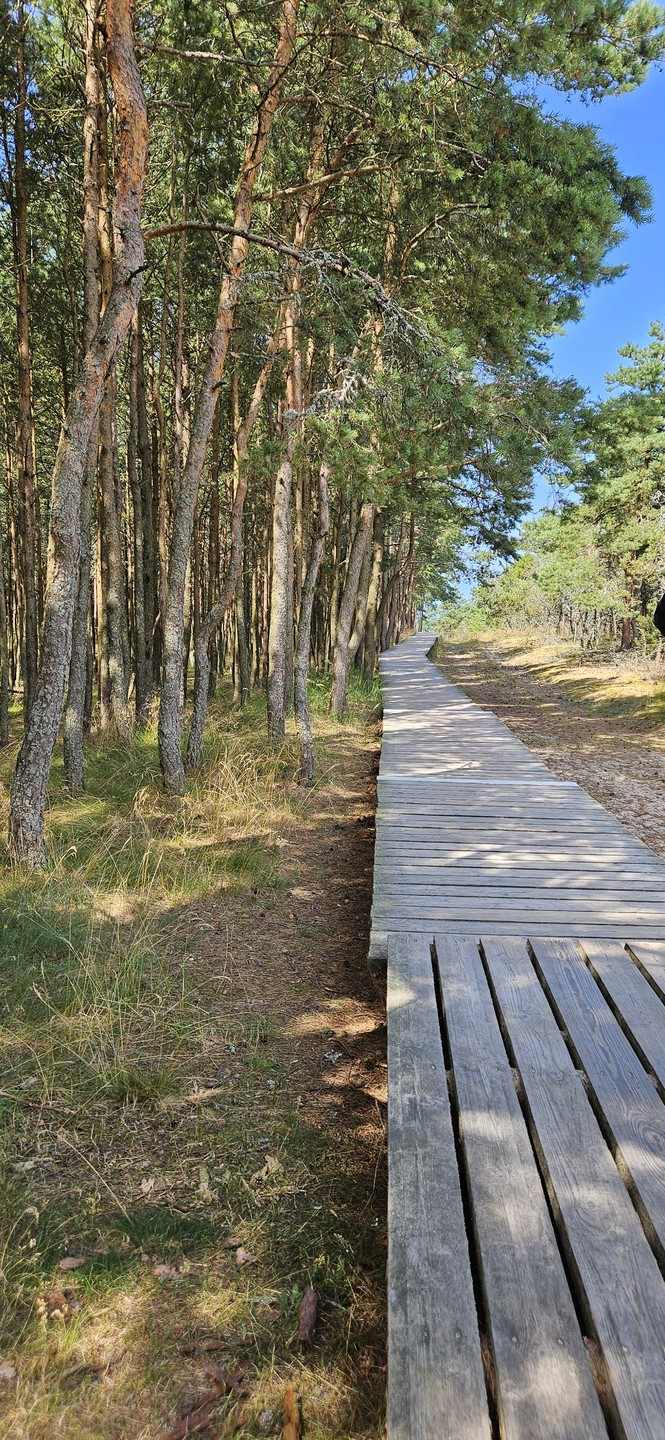 Все понравилось, были не в первый раз, Наталья показала новые локации, узнали много интересного, рекомендуем)