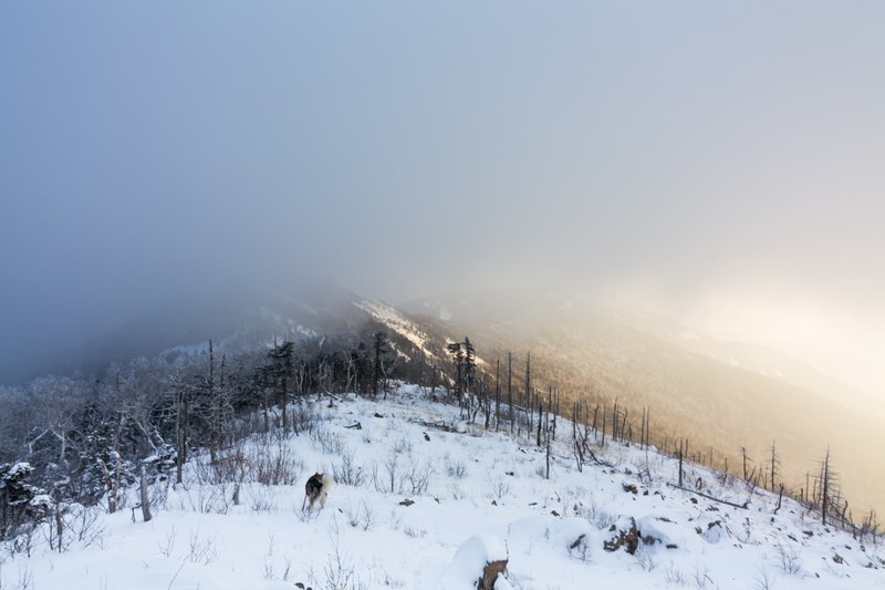Виды Треккинг по Ливадийскому хребту
