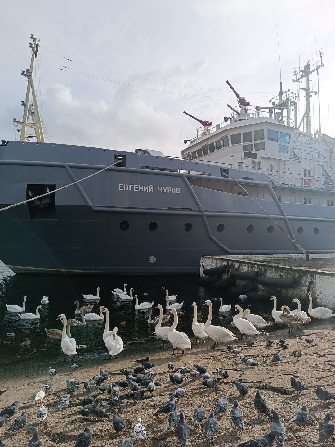 От порта до курорта: групповая экскурсия по Балтийскому побережью из Зеленоградска (Анастасия)