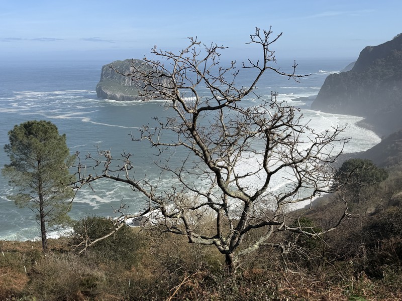 Анна очень располагающий человек, и мы сразу нашли общий язык. Она не профессиональный экскурсовод, и это