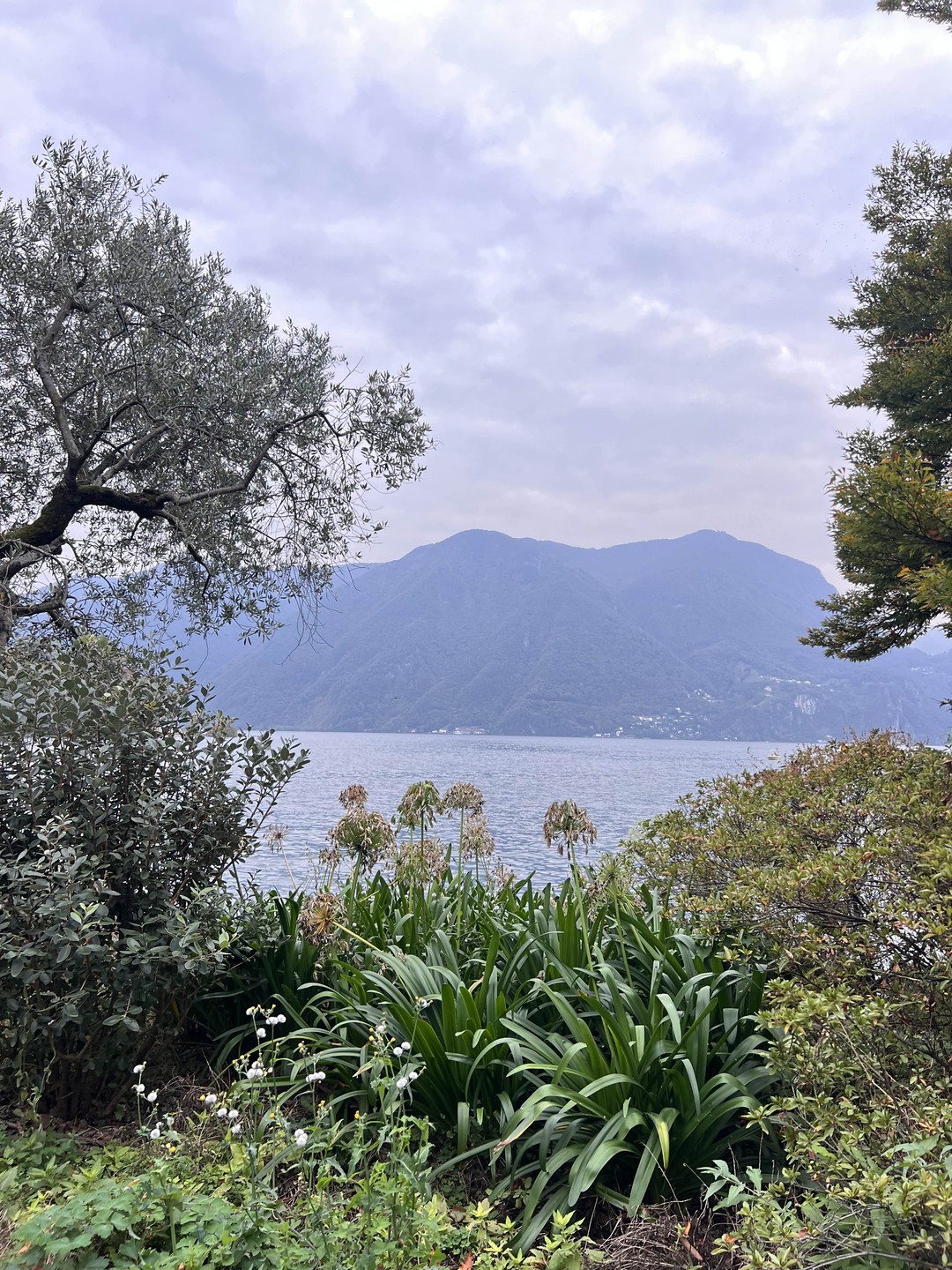 Провели отлично время! С нами была гид Ирина. Много историй, интересных фактов. Комо отлично 👍🏻 гуляли