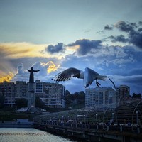reviews img