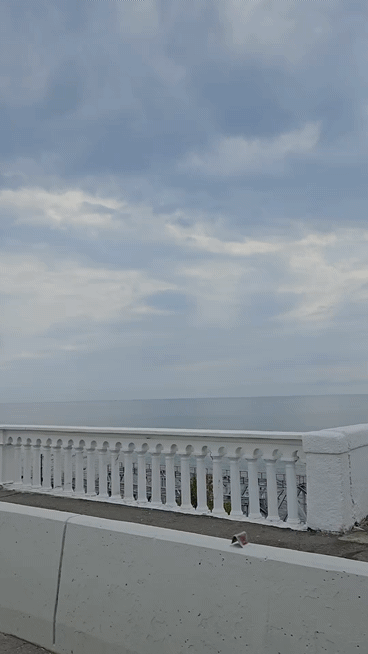 По Сочи с ветерком! Обзорная индивидуальная поездка на максискутере (Элистина)