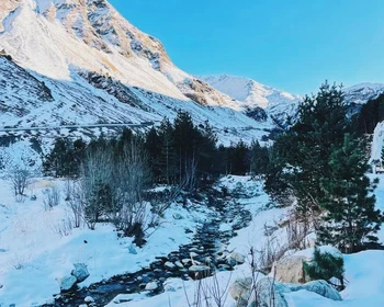 Фото отзыва 2: авторский тур "В село Верхняя Балкария в гости к местной семье"