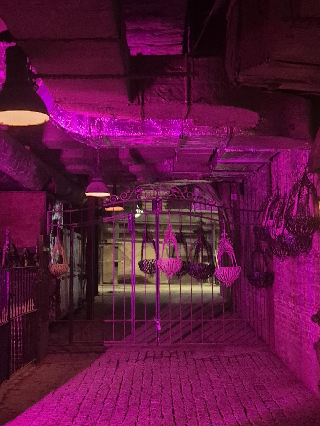 Прекрасная экскурсия,интересная история про Хитровку,оригинальные бары,вкусные настойки. Открыли для себя много нового и интересного!!!!!