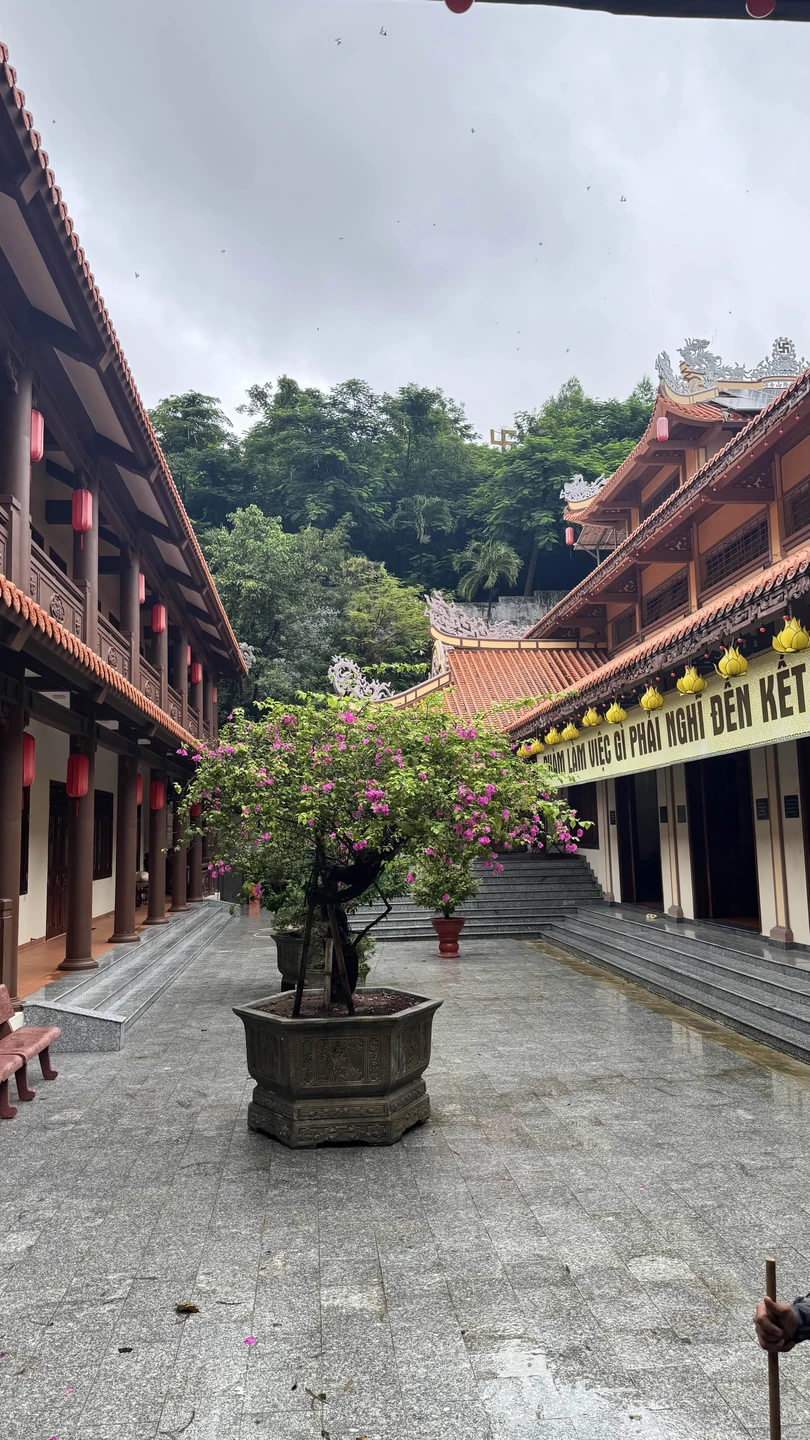 Прекраснейшая экскурсия! Поучительно, весело, все вовремя и без толп туристов! Иван - шикарный гид и рассказчик! Восхищаемся и очень рекомендуем!