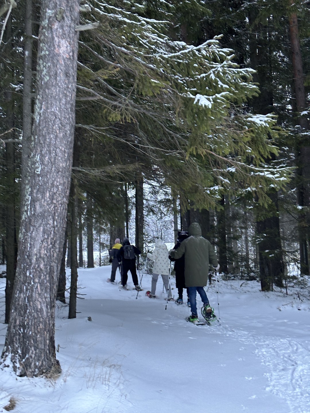 Карелии снежный узор: топовые места, зимние активности и прогулки на природе