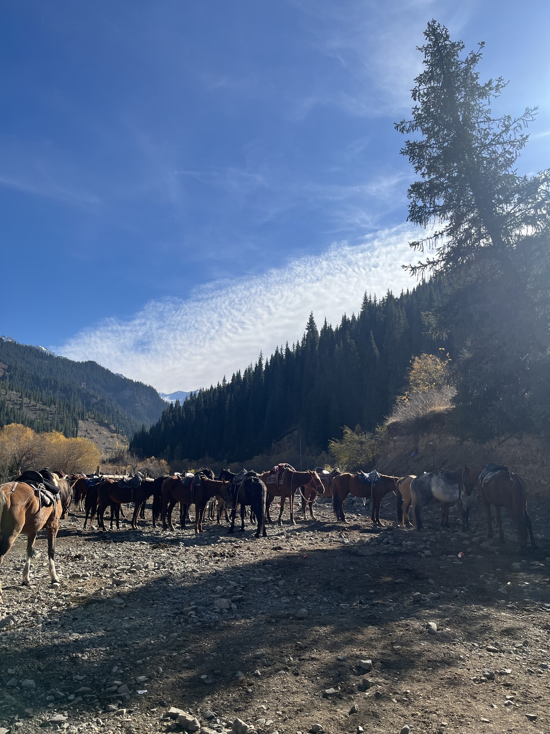 Отличное мини-путешествие по очень красивым местам Казахстана