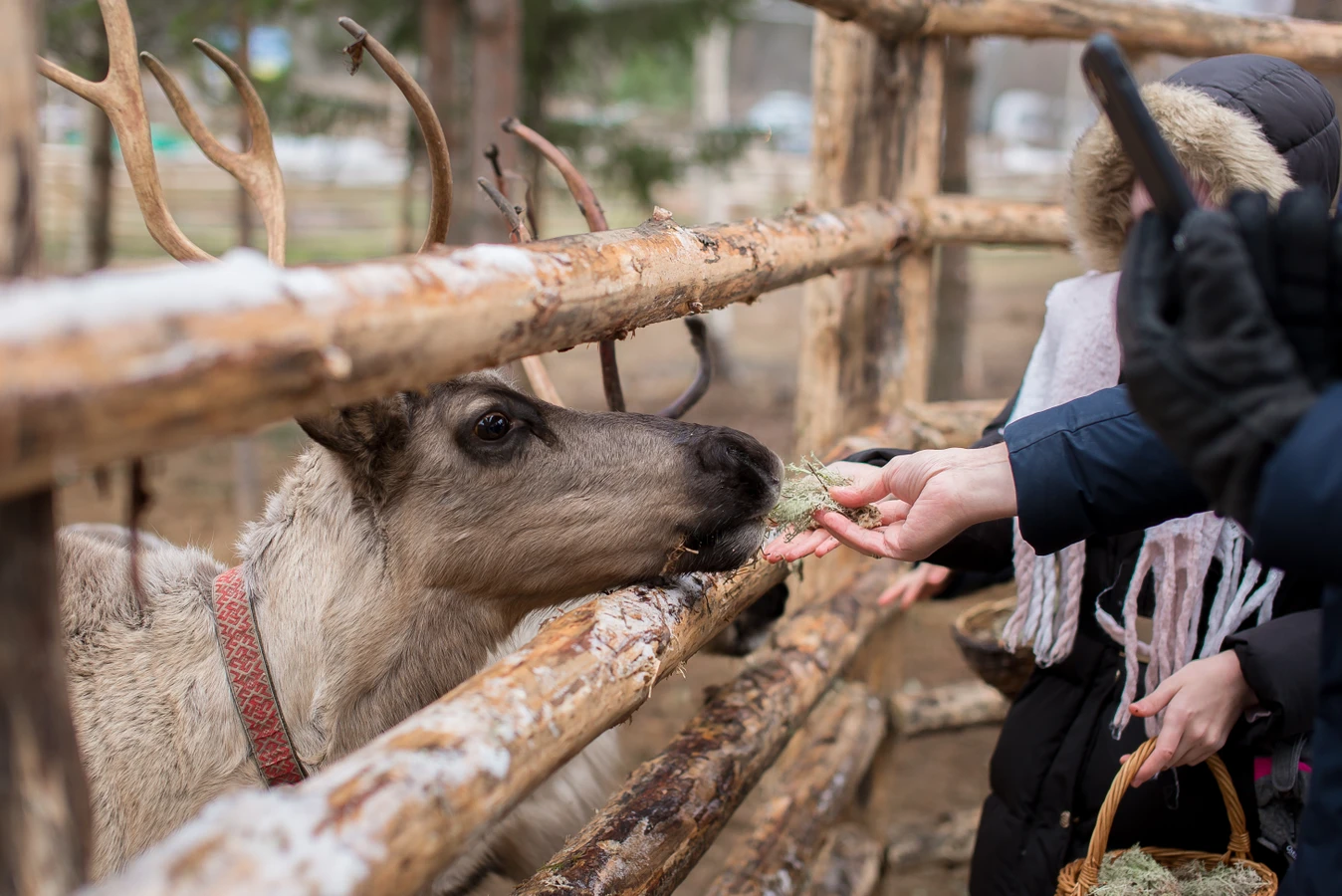 Есть контакт! Психологический выезд для родителей и подростков