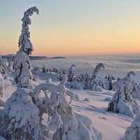Фото отзыва 2: экскурсия "«Мы плывём на льдине, как на бригантине» — айс-флоатинг в Белом море"