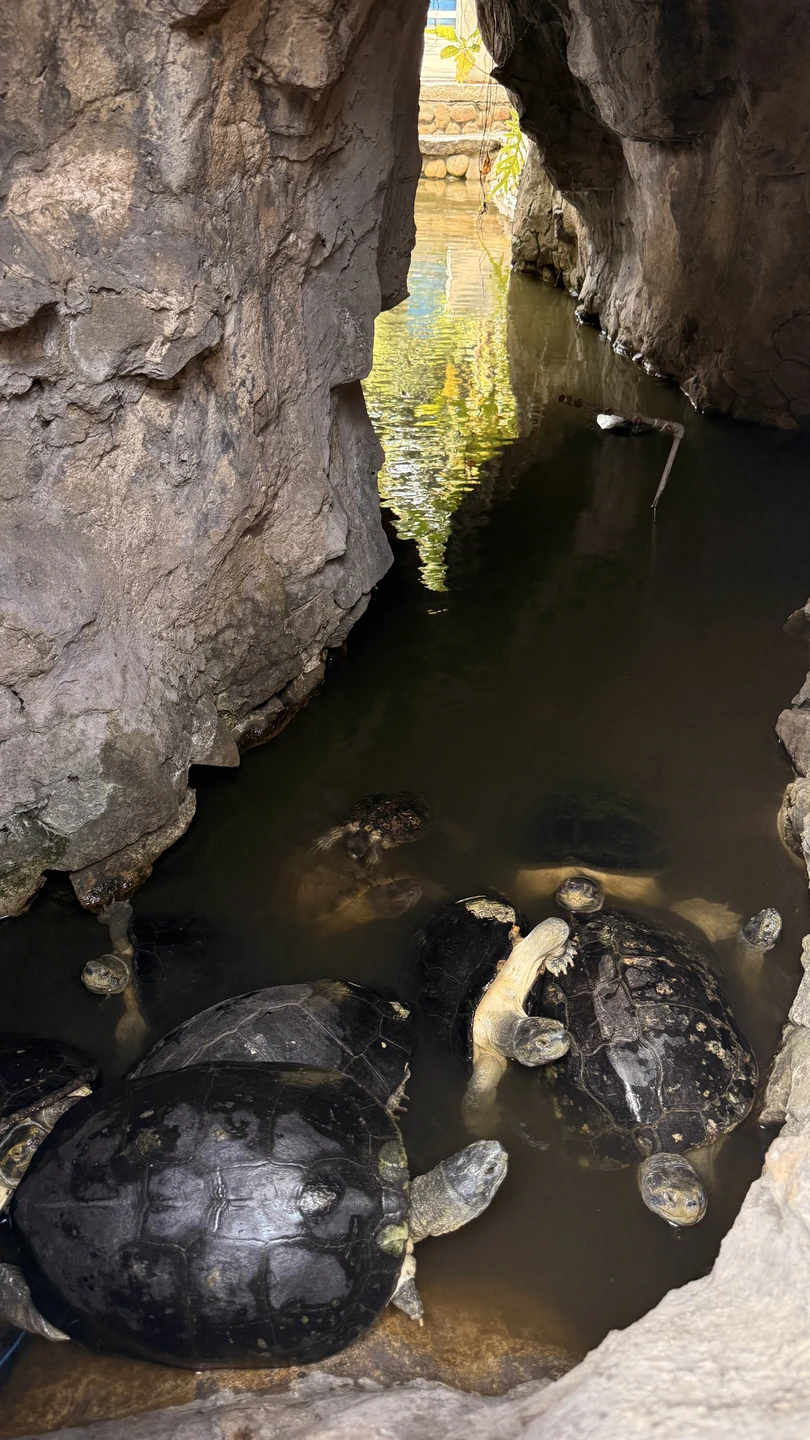 Экскурсия - восторг 💙
