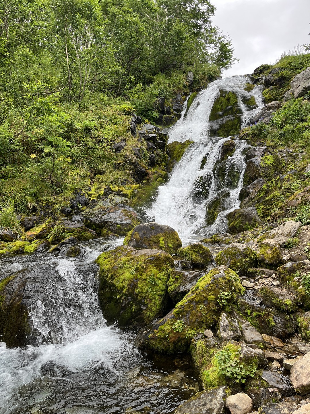 Потрясающий маршрут: красиво невероятно, интересно и интерактивно (спасибо сусликам). Отличный гид: веселый человек, интересный рассказчик, крутой
