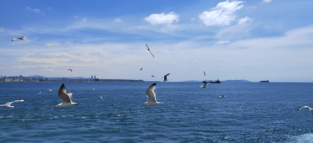 Групповая экскурсия на кораблике по Босфору с аудиогидом (VIKTORIIA)