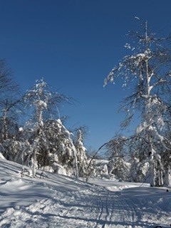 Путешествие в «каменное сердце» Пермского края (Владимир)