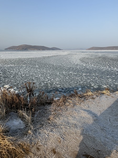 Прекрасная экскурсия с Антоном и Коби (невероятно позитивный и ласковый пес). Мыс Тобизина и остров Шкота