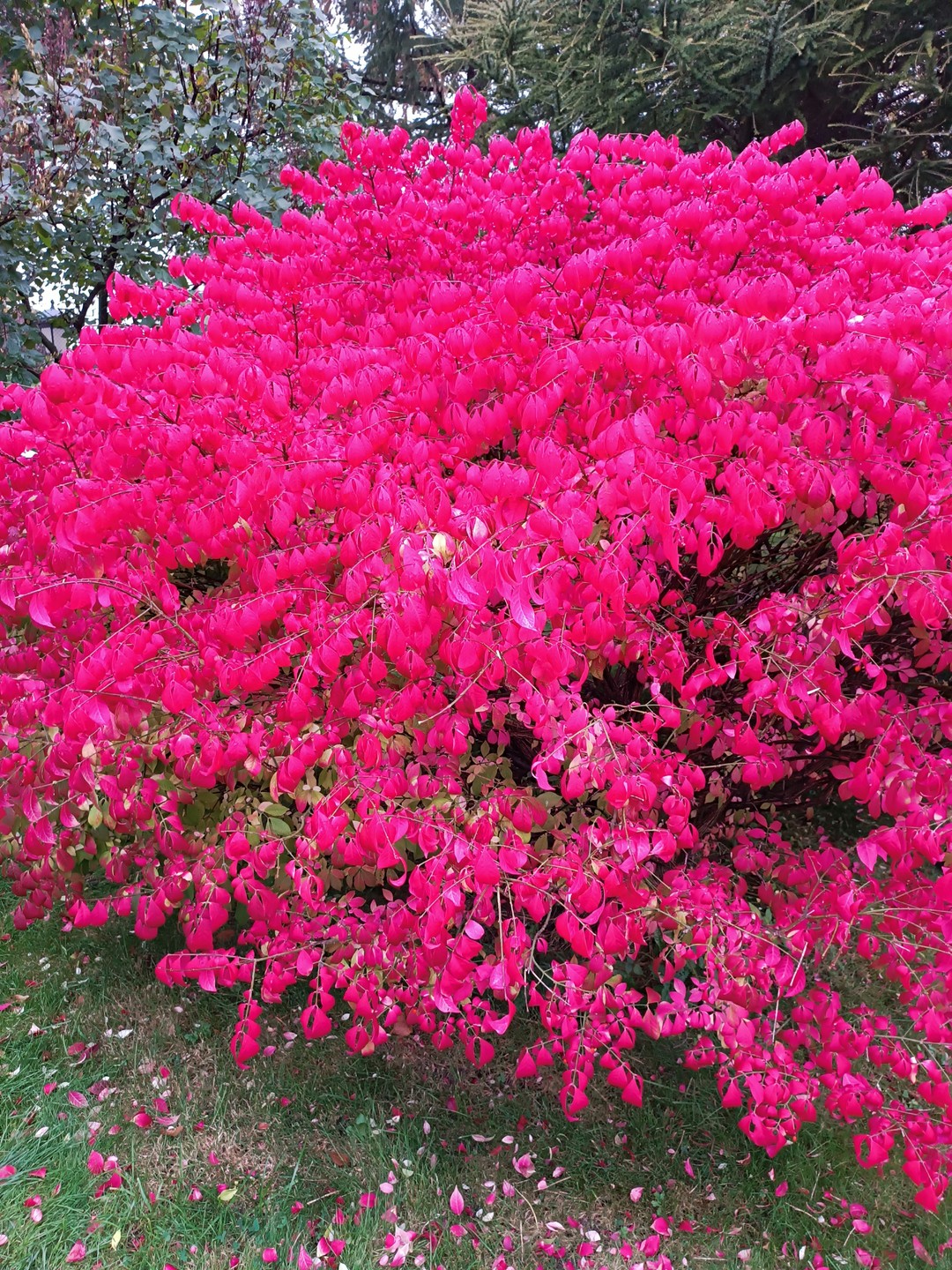 Три часа на автобусе - и вы знакомы с Москвой (Гузель)