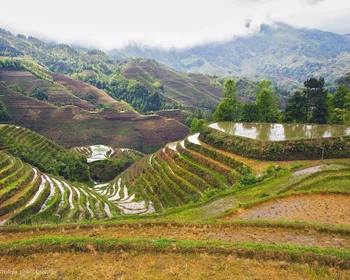 Террасы Лунцзи: деревня Дачжай и треккинг