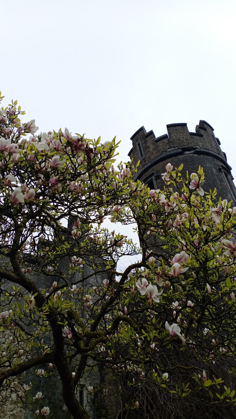 Спасибо Владимиру за интересную экскурсию и доброжелательную атмосферу. Все было очень здорово организовано