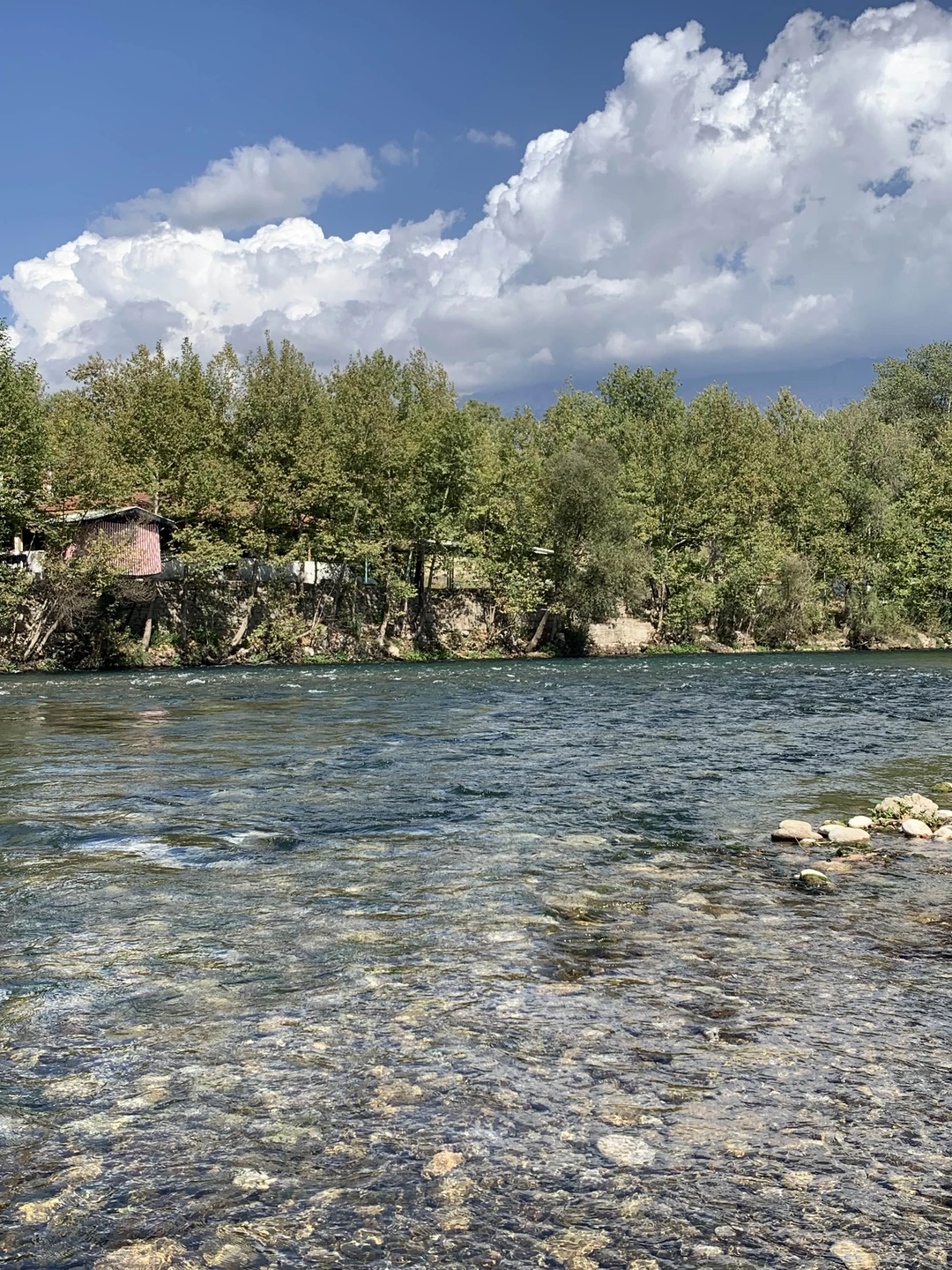 Ездили с сыном 13 лет, ехали 1,5 часа до места сбора. потом минут 40 ждали пока