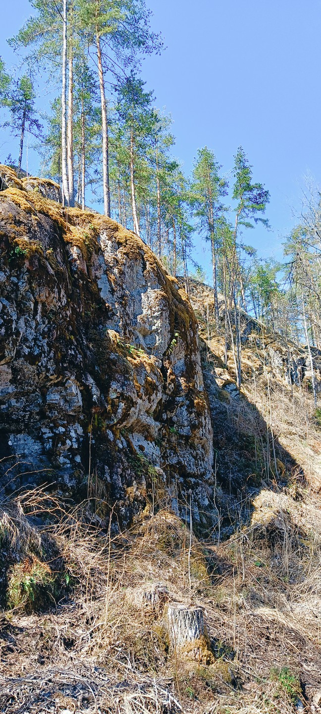 Экскурсия очень понравилась, водитель, он же экскурсовод - не подвёл, рассказывал о местах, об истории края