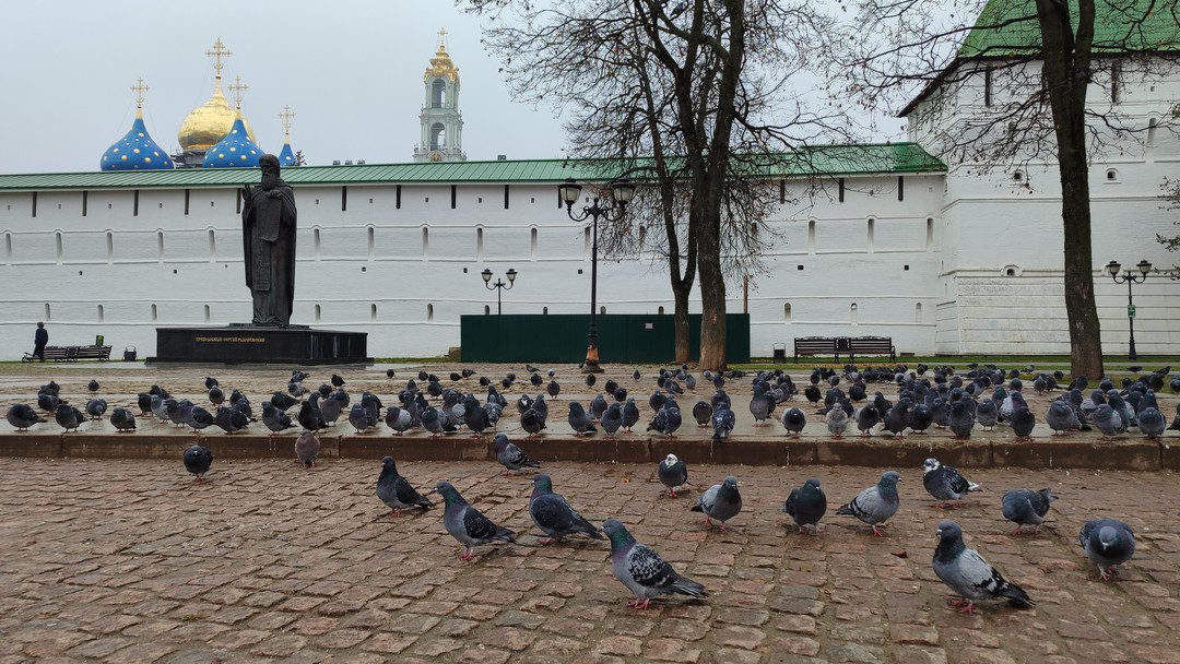 Экскурсия у Анны построена очень любопытно. Мы шли вокруг Троице-Сергиевой Лавры, постепенно нанизывая на наш путь