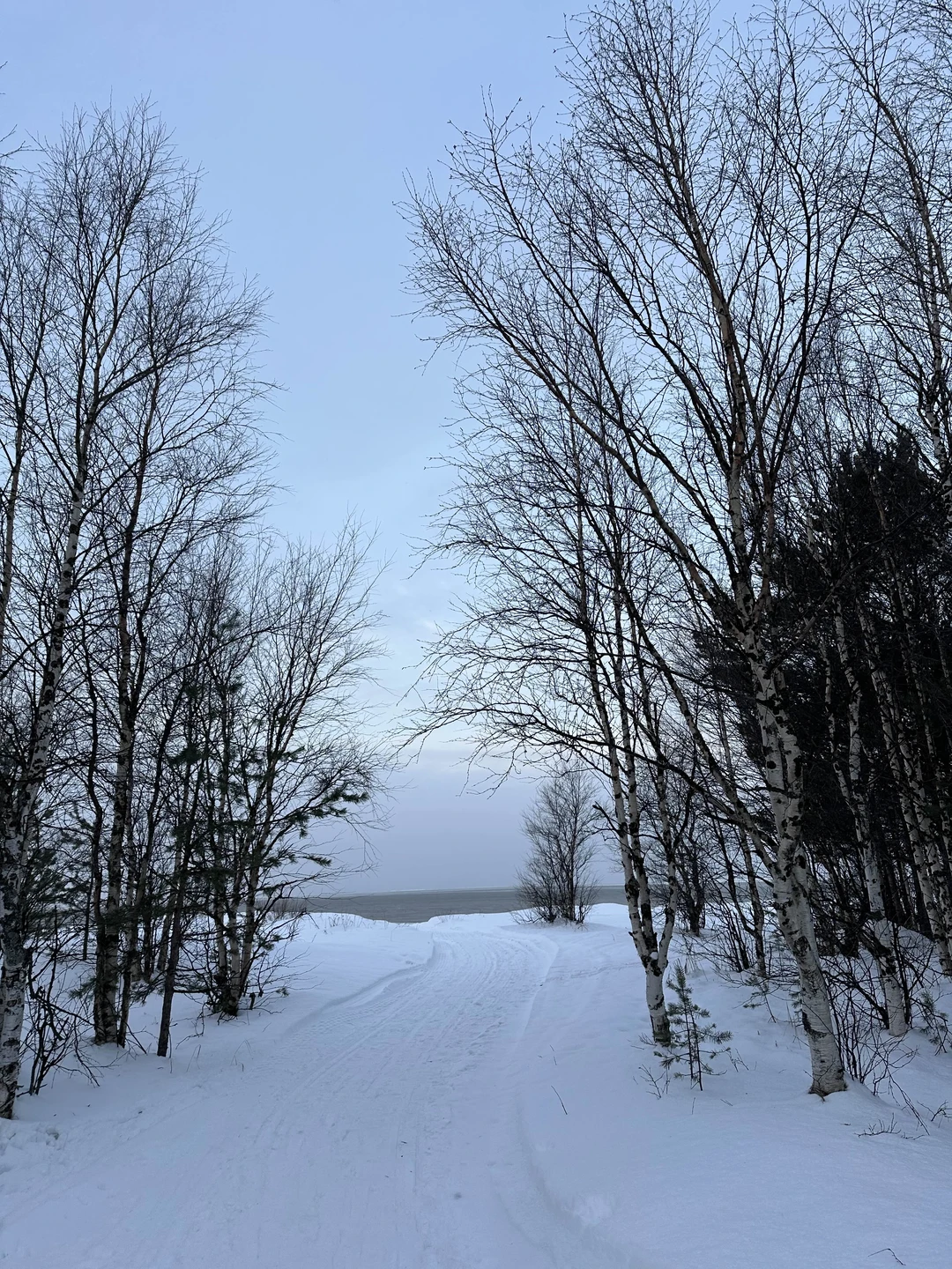 Прекрасная поездка с интересной беседой