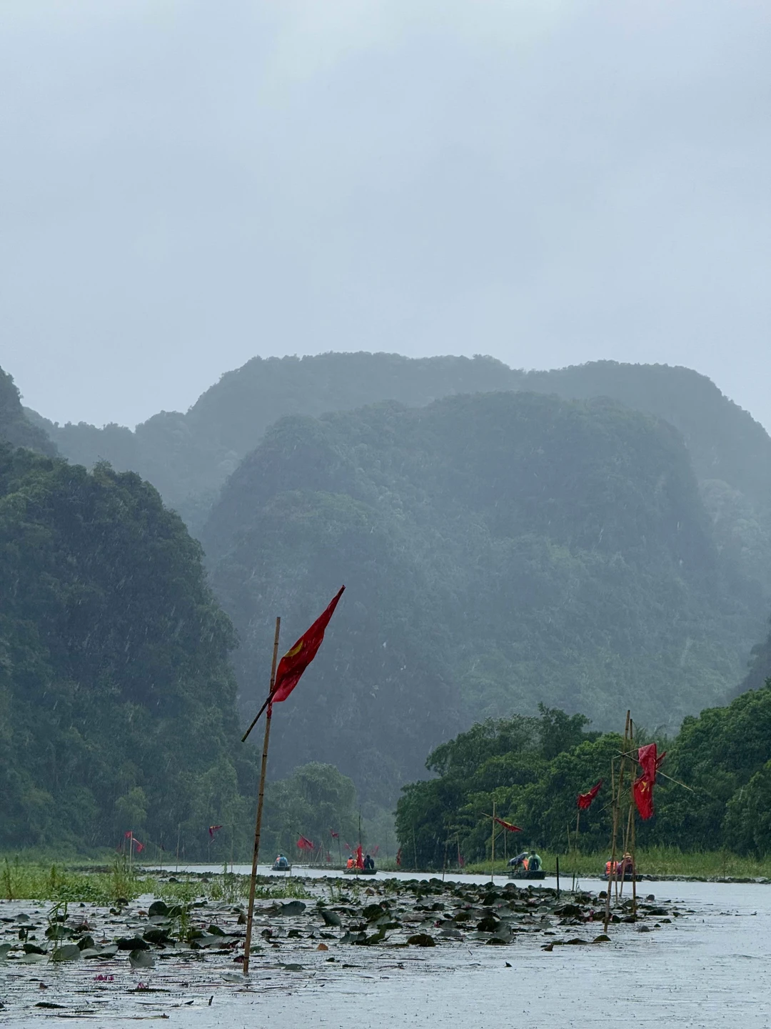 Мы добавили в тур еще один день и посмотрели за 2,5 дня Нинь Бинь, Пулун и Май Чау