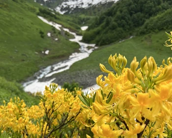 Треккинг в Долине семи озёр, альпийские луга и перевал Анчхо