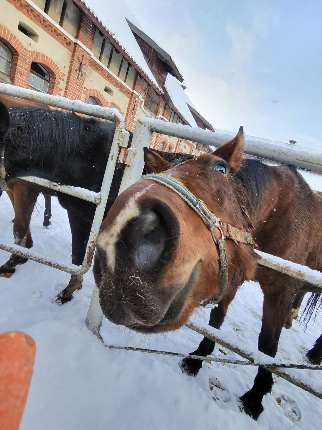 «Идём на восток!»: из Калининграда - в земли Восточной Пруссии (Родионова)