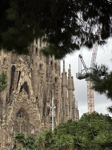 Потрясающий экскурсовод. Благодарим Виталия за чудесное времяпрепровождение в Саграде. Как же было интересно слушать, смотреть, отвечать