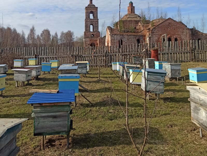 В гости к пасечнику (на вашем автомобиле)