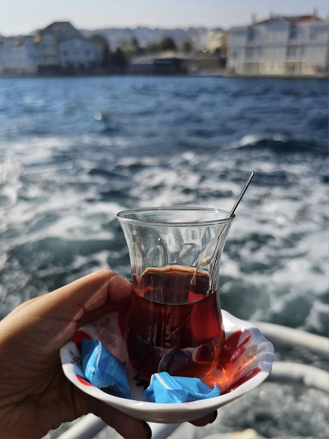 В сердце Стамбула с профессиональным гидом (Iryna)