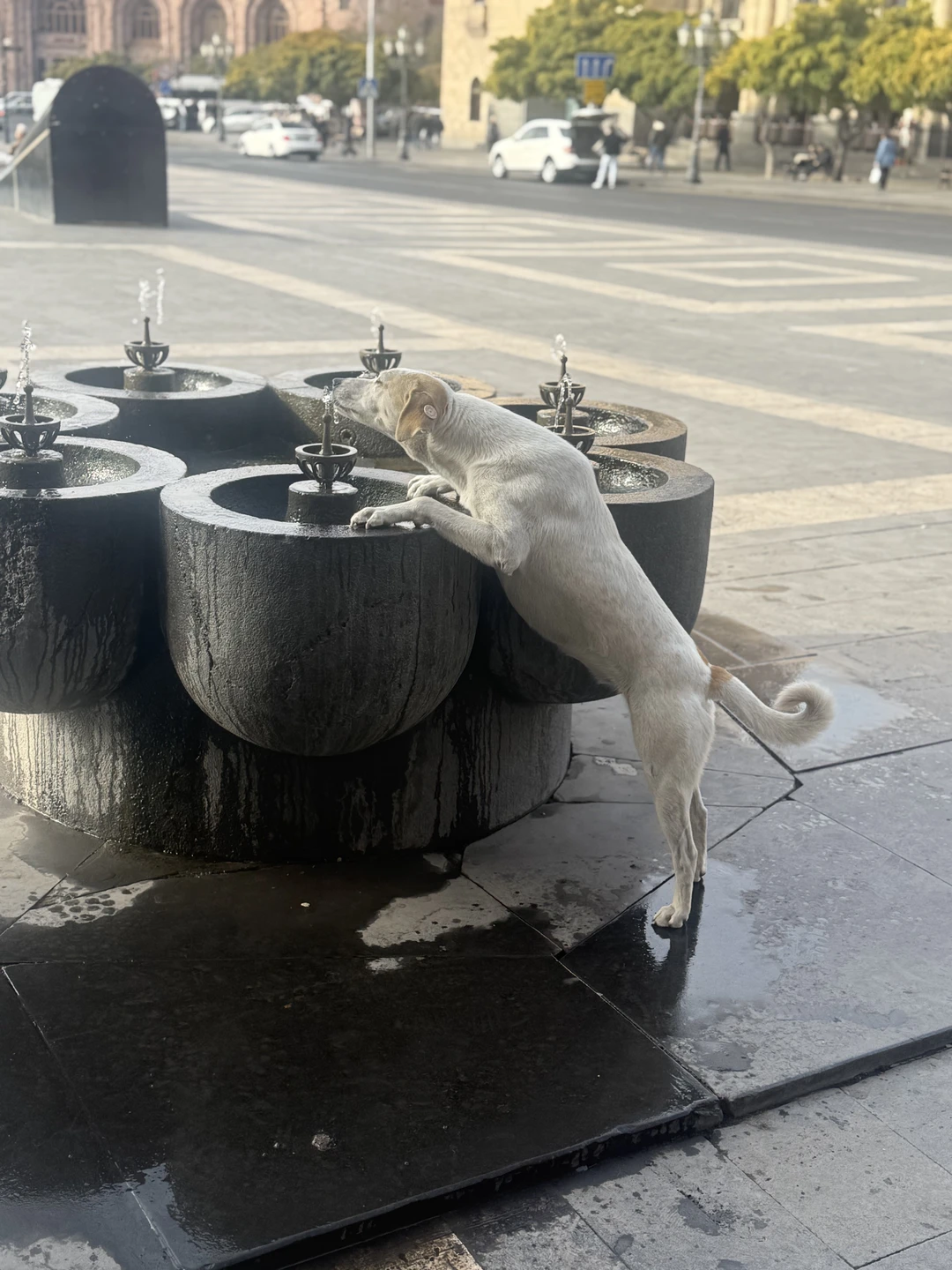 Организатор просто супер. Все четко, быстро, безопасно. Анне, нашему экскурсоводу, огромное спасибо. Очень нам понравилась. Отлично