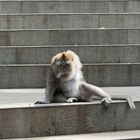 Фото отзыва 3: экскурсия "Бали, который вы ждёте!"