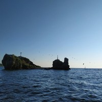 Фото отзыва 4: экскурсия "На моторной лодке — вдоль побережья острова Русский"