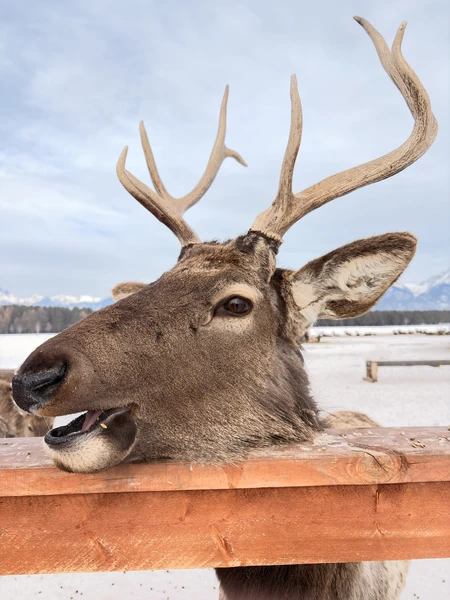 Экскурсию выбирали за несколько месяцев, почитав отзывы поняли, что надо бронировать и не прогадали!