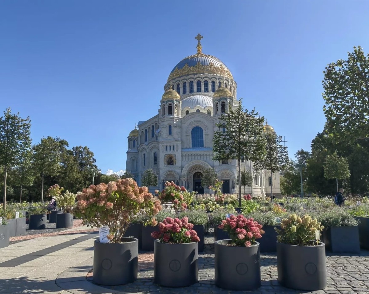 В морской пригород Петербурга — Кронштадт (12/12)