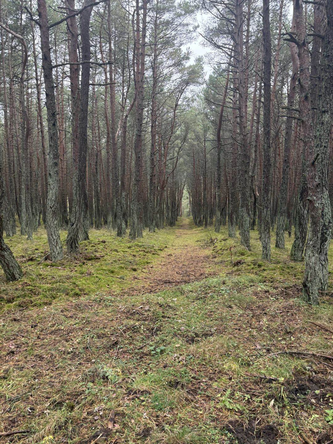Спасибо, Михаилу, за интересную экскурсию. Рассказал много интересных моментов, маршрут экскурсии позволил детям не устать и