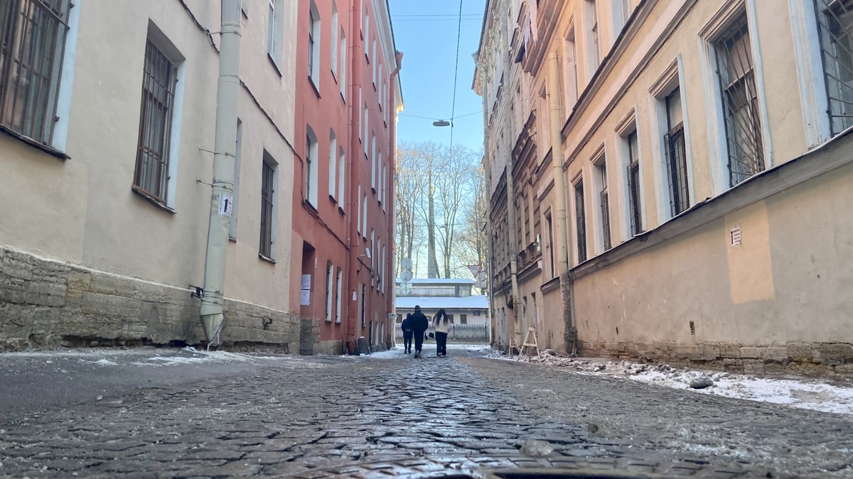 Улица Репина: вибрации непарадного Петербурга