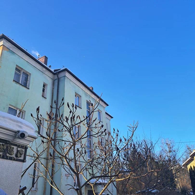 Калининград: самый смак за 3 часа (Полина)