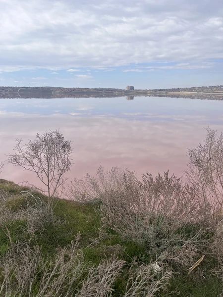 Рауф, спасибо Вам большое за проведенный день с нами! Экскурсия нам очень понравилась, было интересно слушать