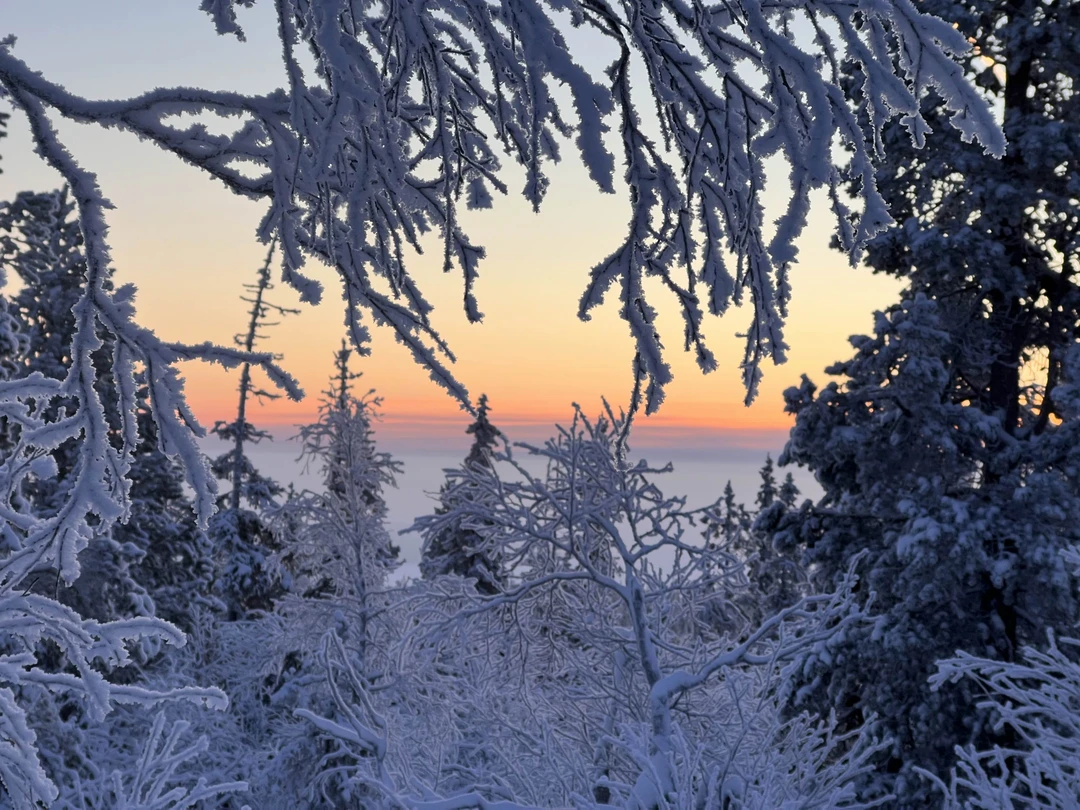 Прекрасная экскурсия, организованная Оксаной в сопровождении ее лучшего друга Дюны(ласковая, дружелюбная собака)! Оксана по пути рассказала