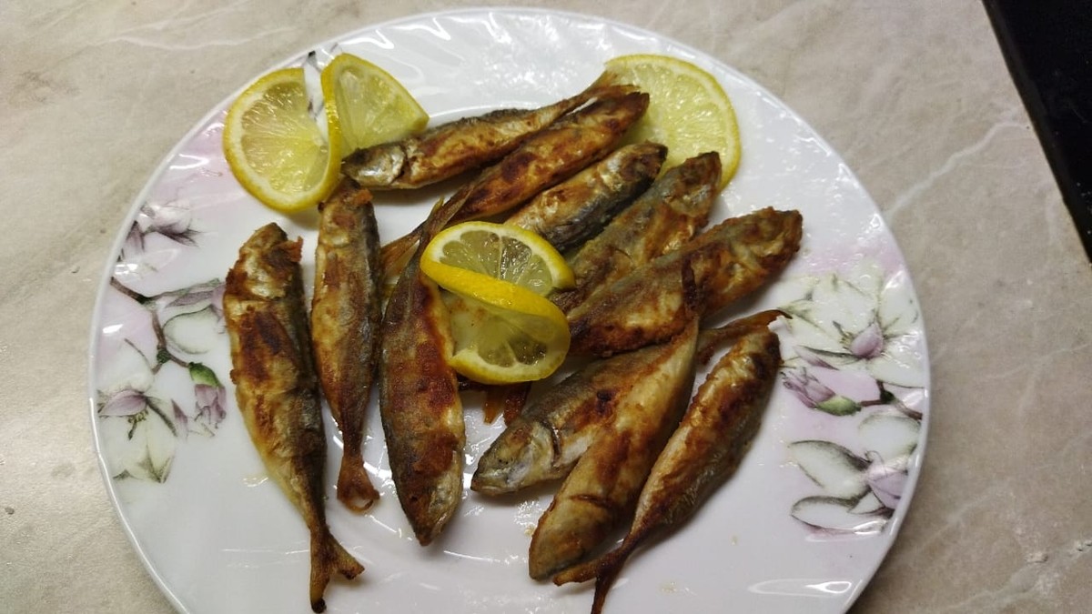 Морская рыбалка в районе Новороссийска (6/6)