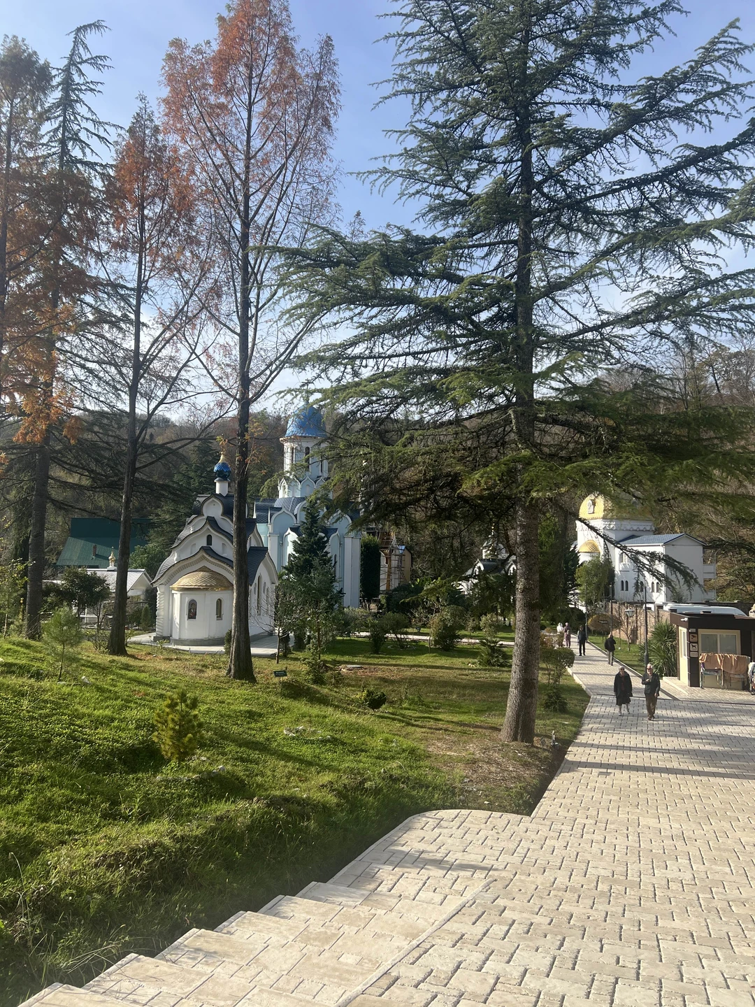 Прилетев в Сочи, очень захотелось посмотреть за пару тройку дней все и сразу🤣, и лучшим решением