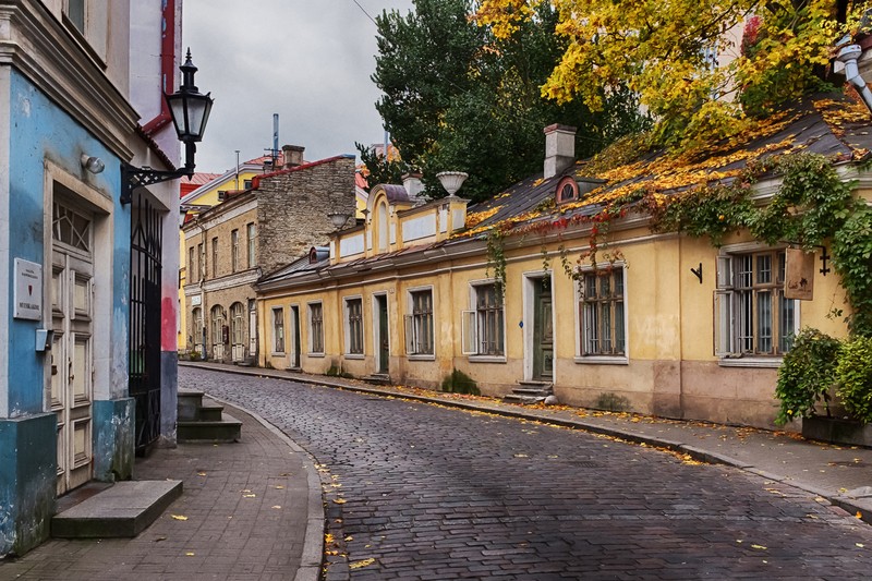 В погоне за рецептом настоящего кренделя: экскурсия-квест