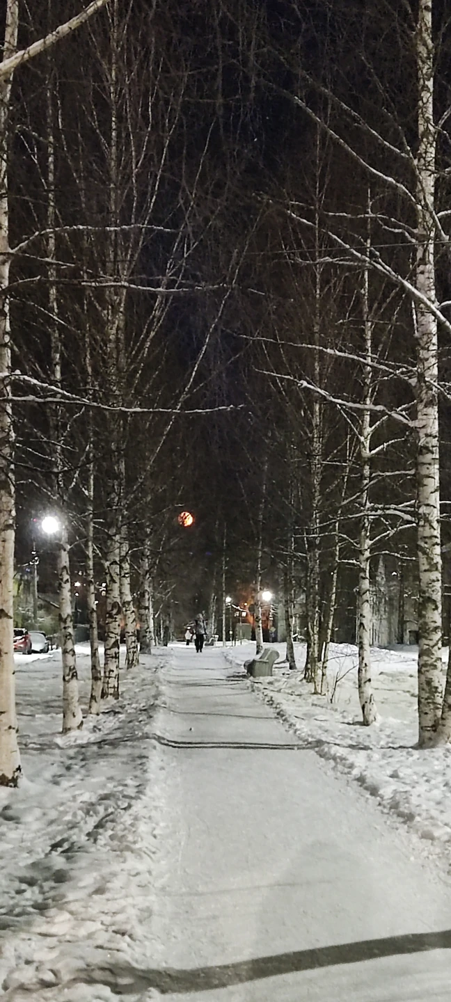 Мы выбрали вечернее время для прогулки. Январь, холодно, но очень интересно и маршрут построен так, что