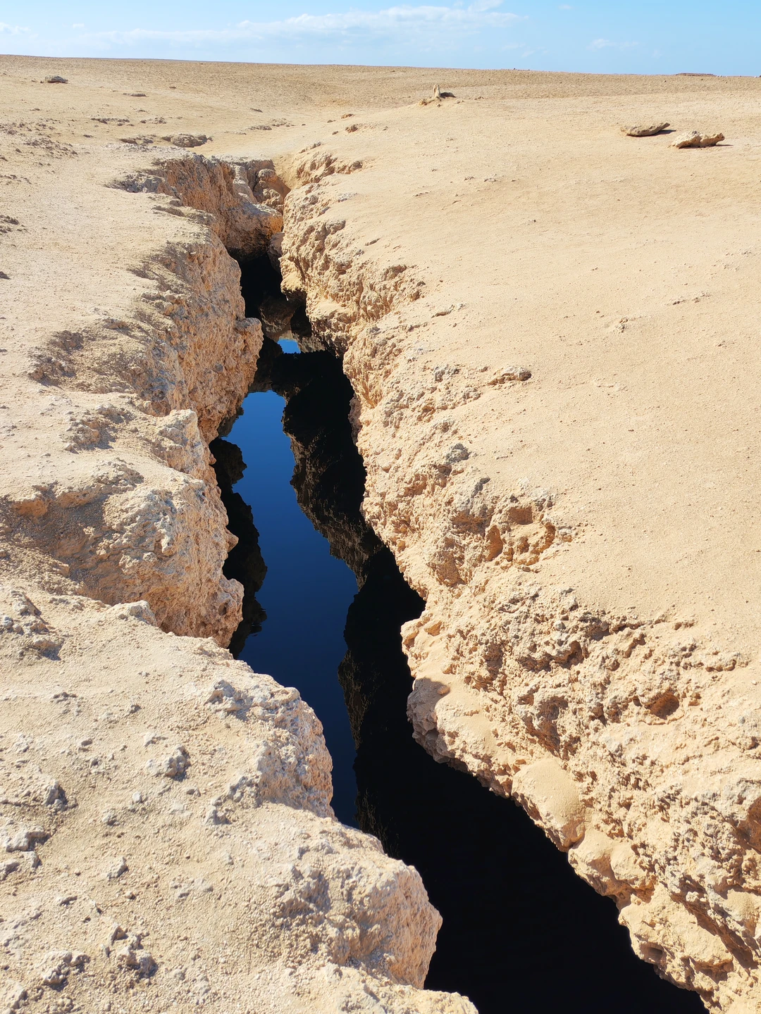 Нам очень понравилось отдыхать с Мустафой - весь день чувствовали себя, окружённые заботой и вниманием. Это